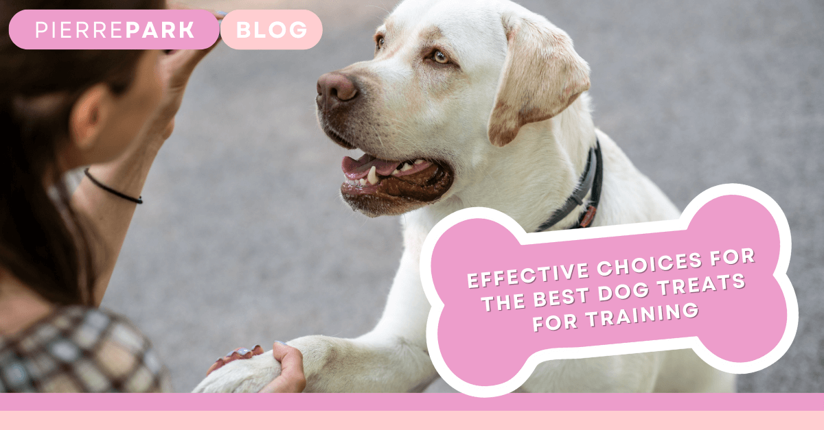 Effective Choices for the Best Dog Treats for Training