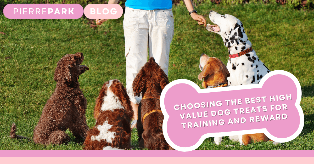 Choosing the Best High Value Dog Treats for Training and Reward