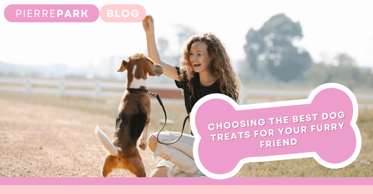 Choosing the Best Dog Treats for Your Furry Friend