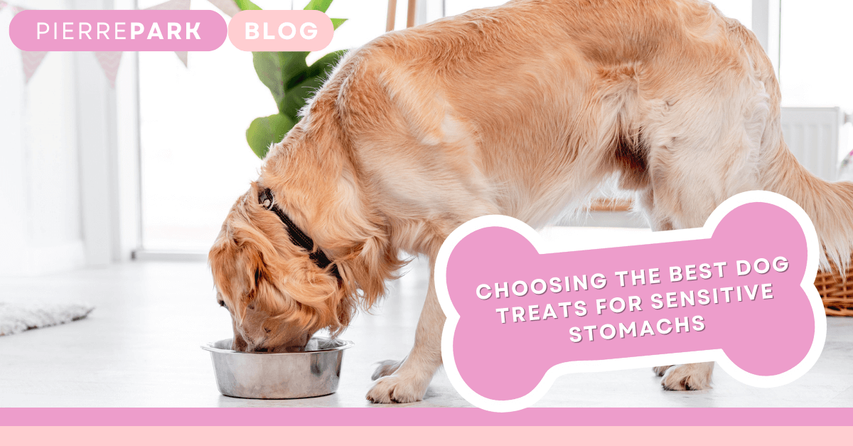 Choosing the Best Dog Treats for Sensitive Stomachs