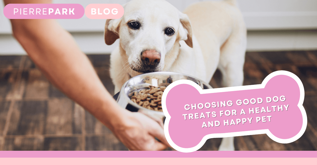 Choosing Good Dog Treats for a Healthy and Happy Pet