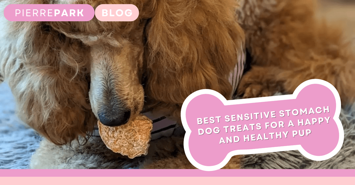 Best Sensitive Stomach Dog Treats for a Happy and Healthy Pup