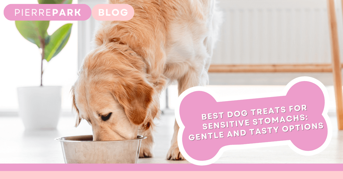 Best Dog Treats for Sensitive Stomachs Gentle and Tasty Options