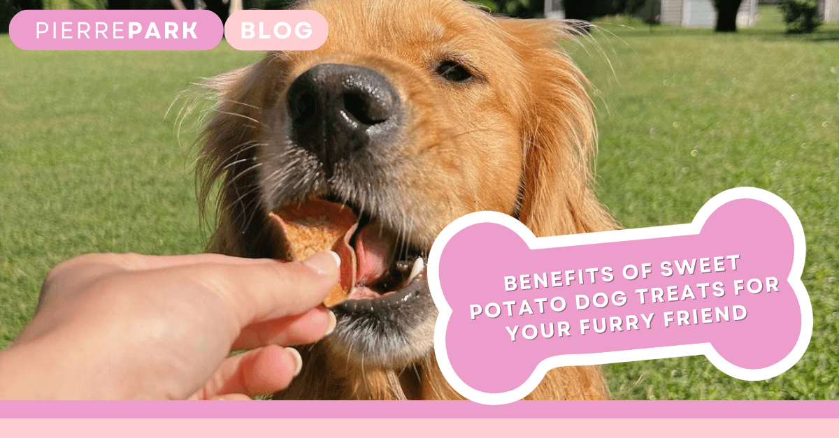 Benefits of Sweet Potato Dog Treats for Your Furry Friend