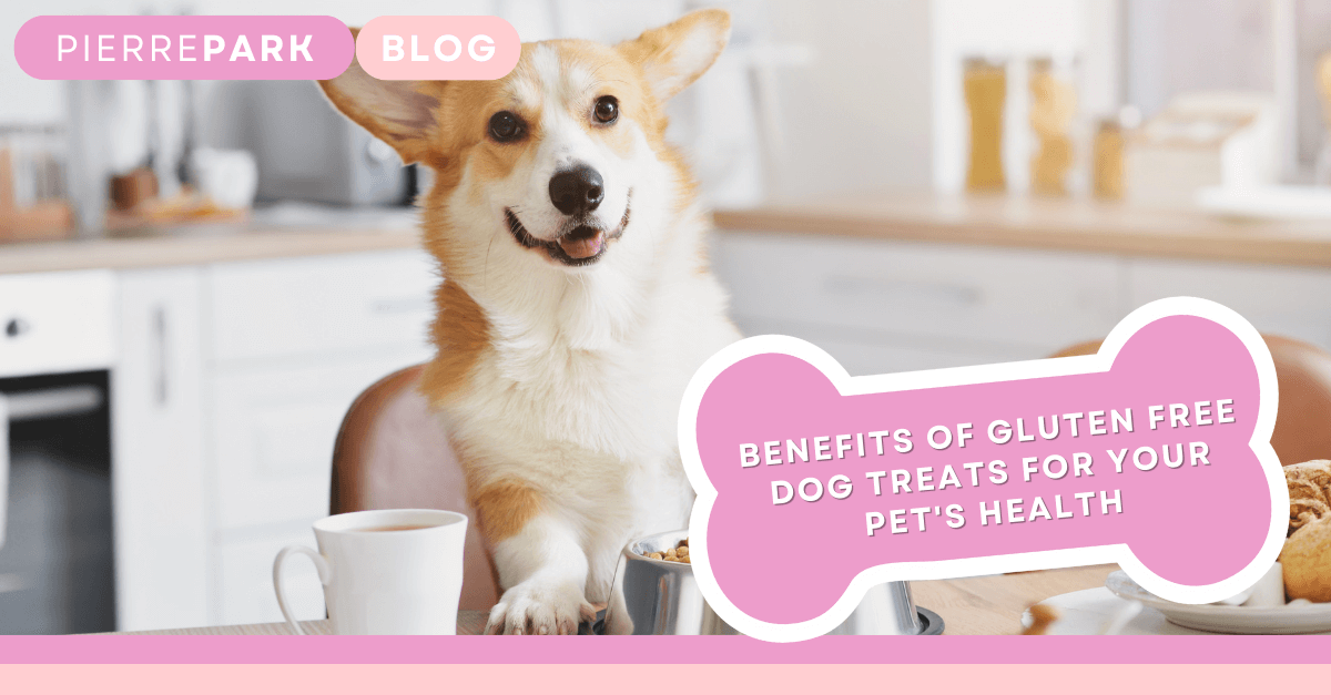 Benefits of Gluten Free Dog Treats for Your Pet's Health