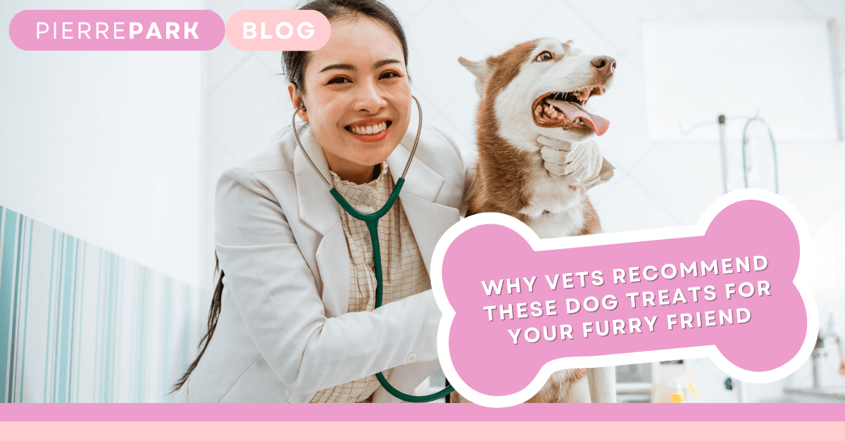 Why Vets Recommend These Dog Treats for Your Furry Friend