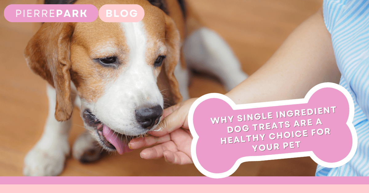 Why Single Ingredient Dog Treats are a Healthy Choice for Your Pet