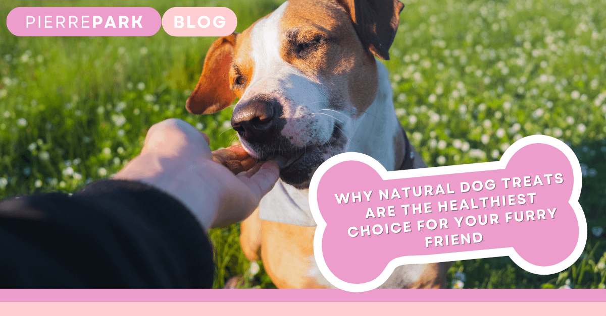 Why Natural Dog Treats Are the Healthiest Choice for Your Furry Friend