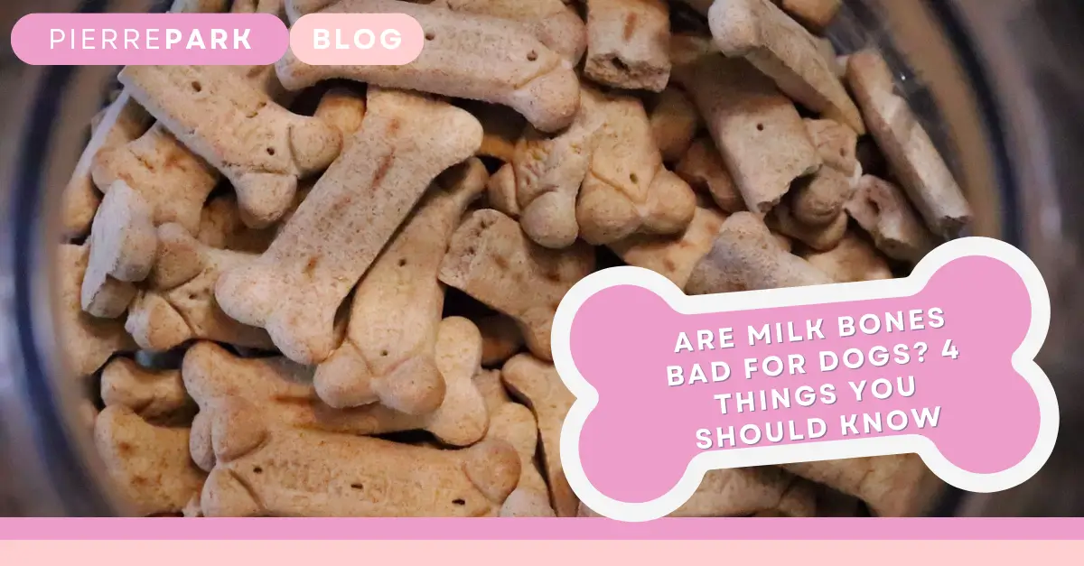 Are Milk Bones Bad For Dogs? 4 Factors To Consider