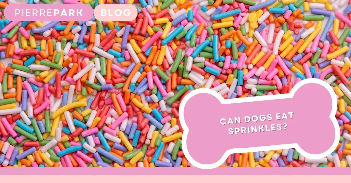 Can Dogs Eat Sprinkles?