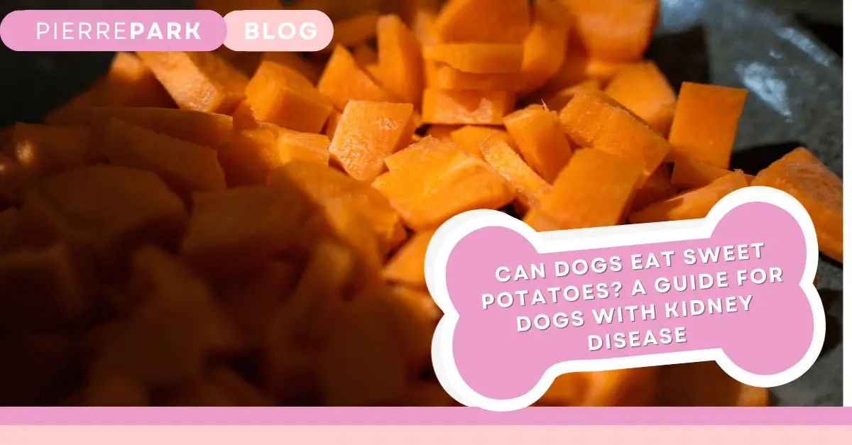 Can Dogs with Kidney Disease Eat Sweet Potato?