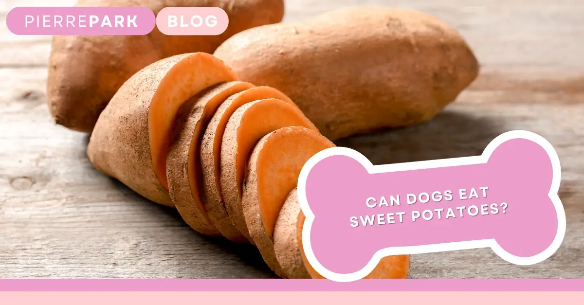 Can Dogs Eat Sweet Potatoes?