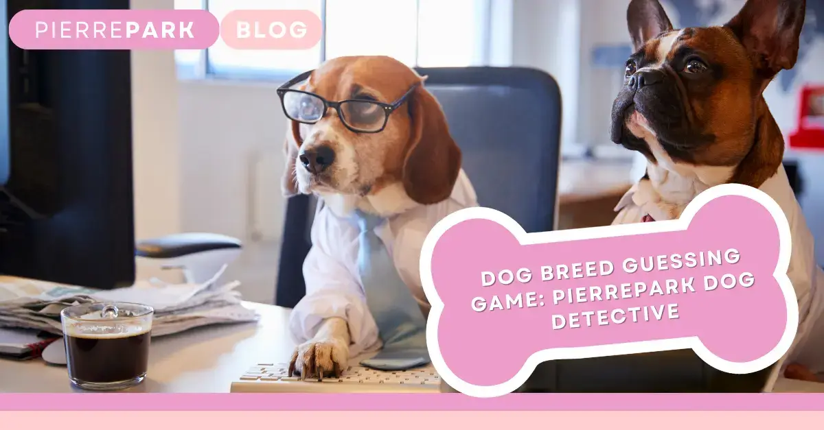 Dog Breed Guessing Game: PierrePark Dog Detective