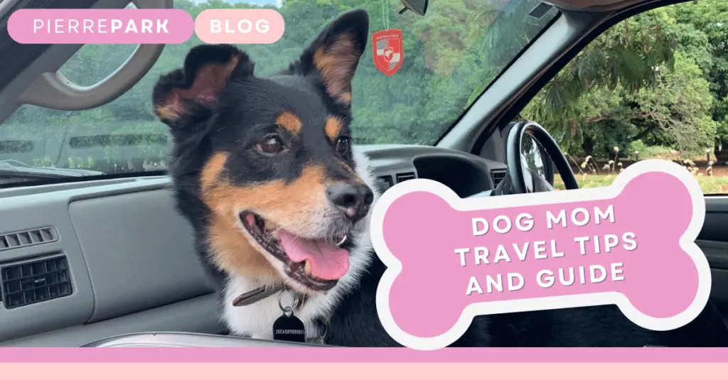 Dog Mom Travel Essentials: Tips & Tricks for Memorable Trips