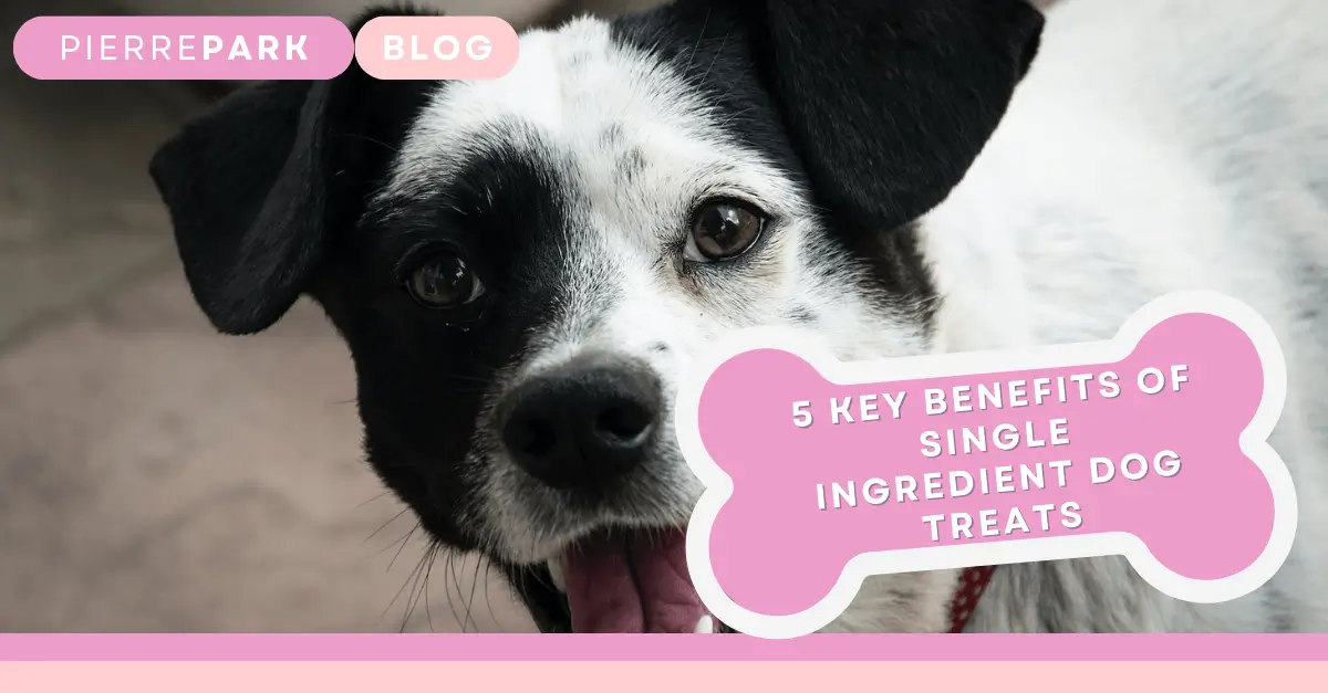 5 Key Benefits Of Single Ingredient Dog Treats