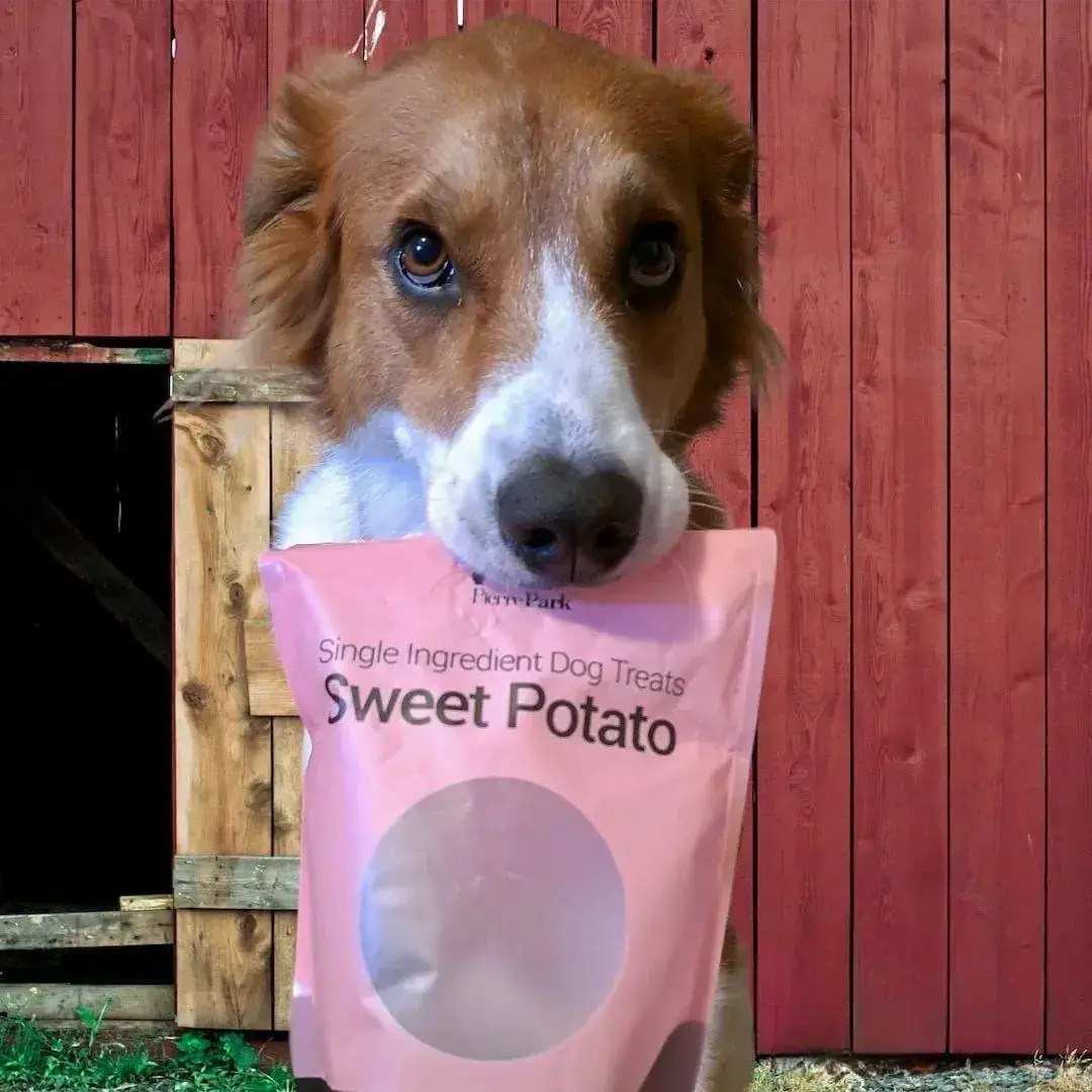All-natural sweet potato dog treats packaging from PierrePark
