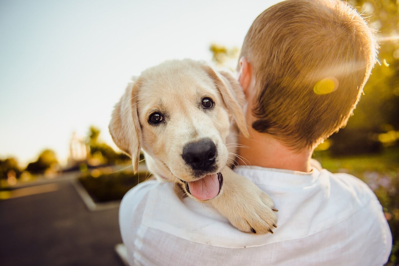 7 Ways to Keep Your Dog Health and Happy