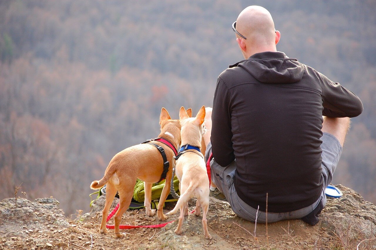 How to Hike With Your Dog Safely