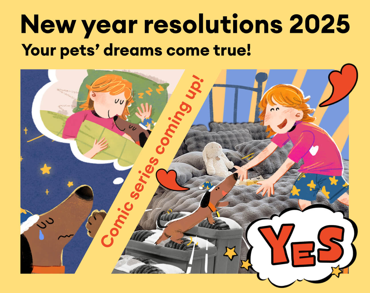 New Year Resolutions 2025: Your Pets’ Dreams Come True