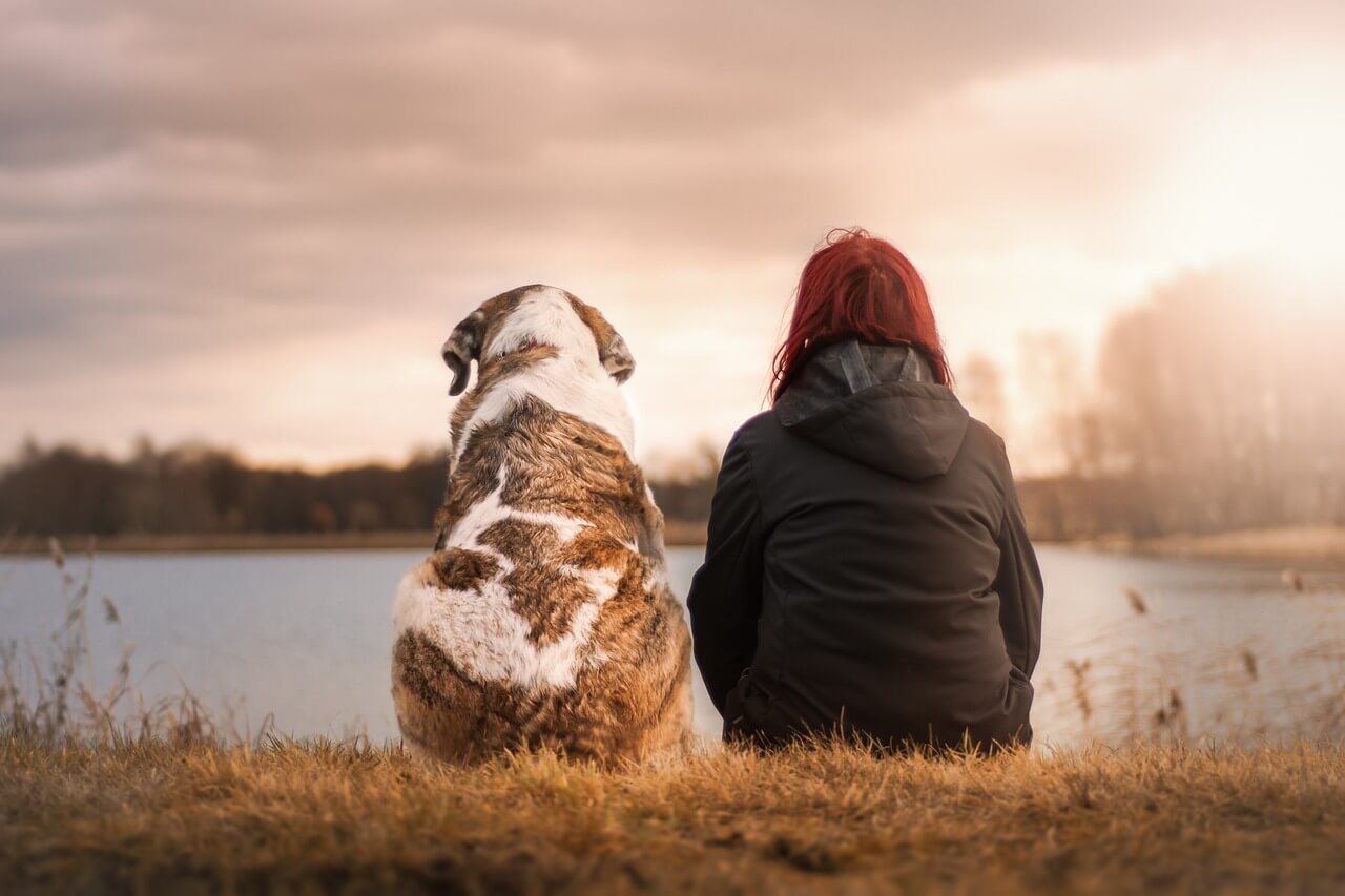 Dogs And Loud Noises: Best Way To Control Your Canine’s Fear