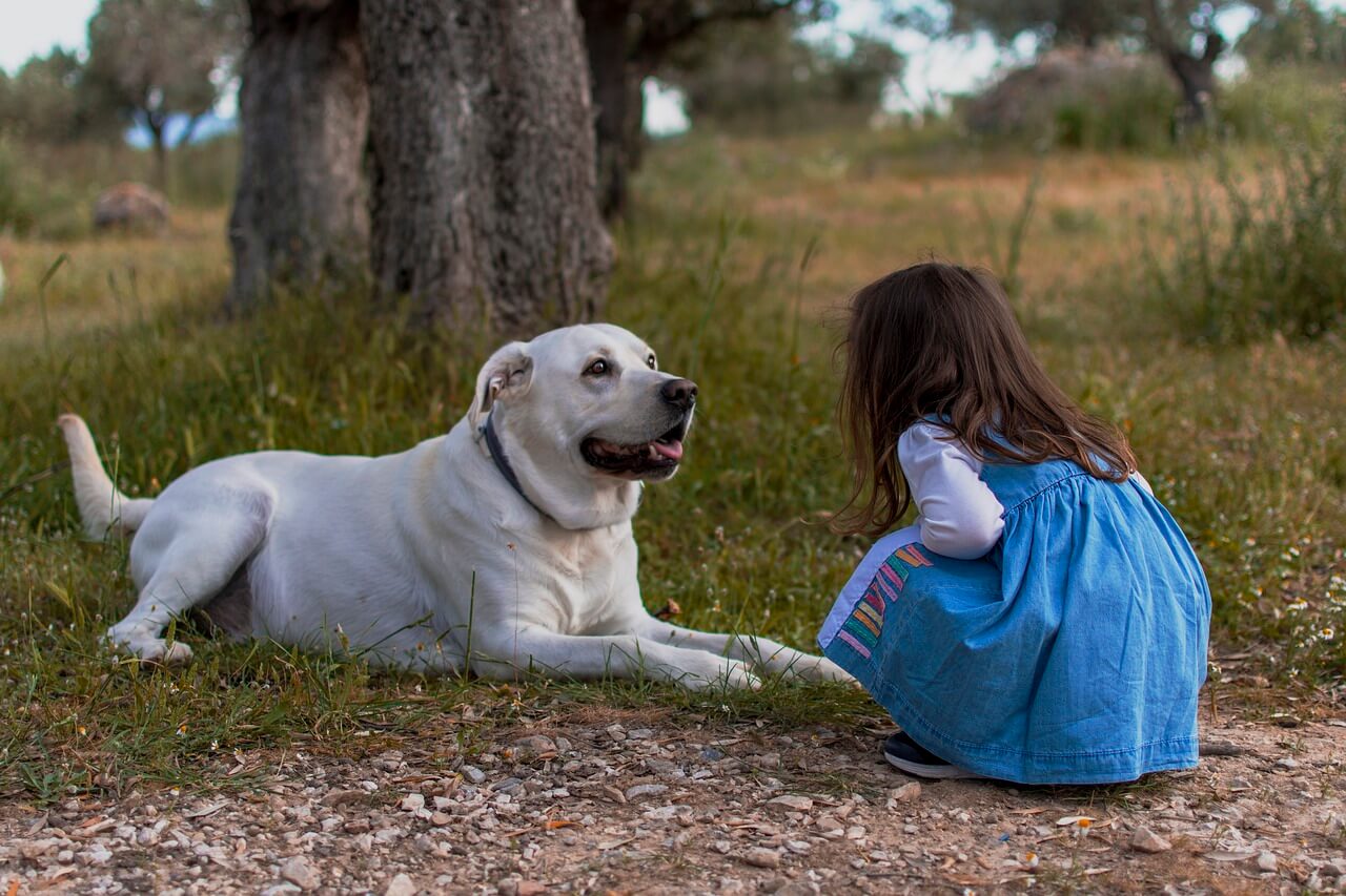 Sleeping With Dogs: The Pros, Cons And The Best Bed For Your Dog