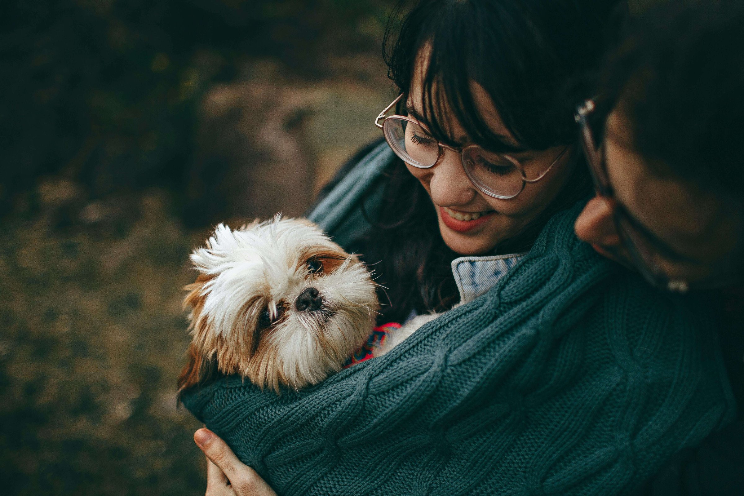 Pet Gear Essentials: Creating a Cozy and Practical Home for Your Furry Friends