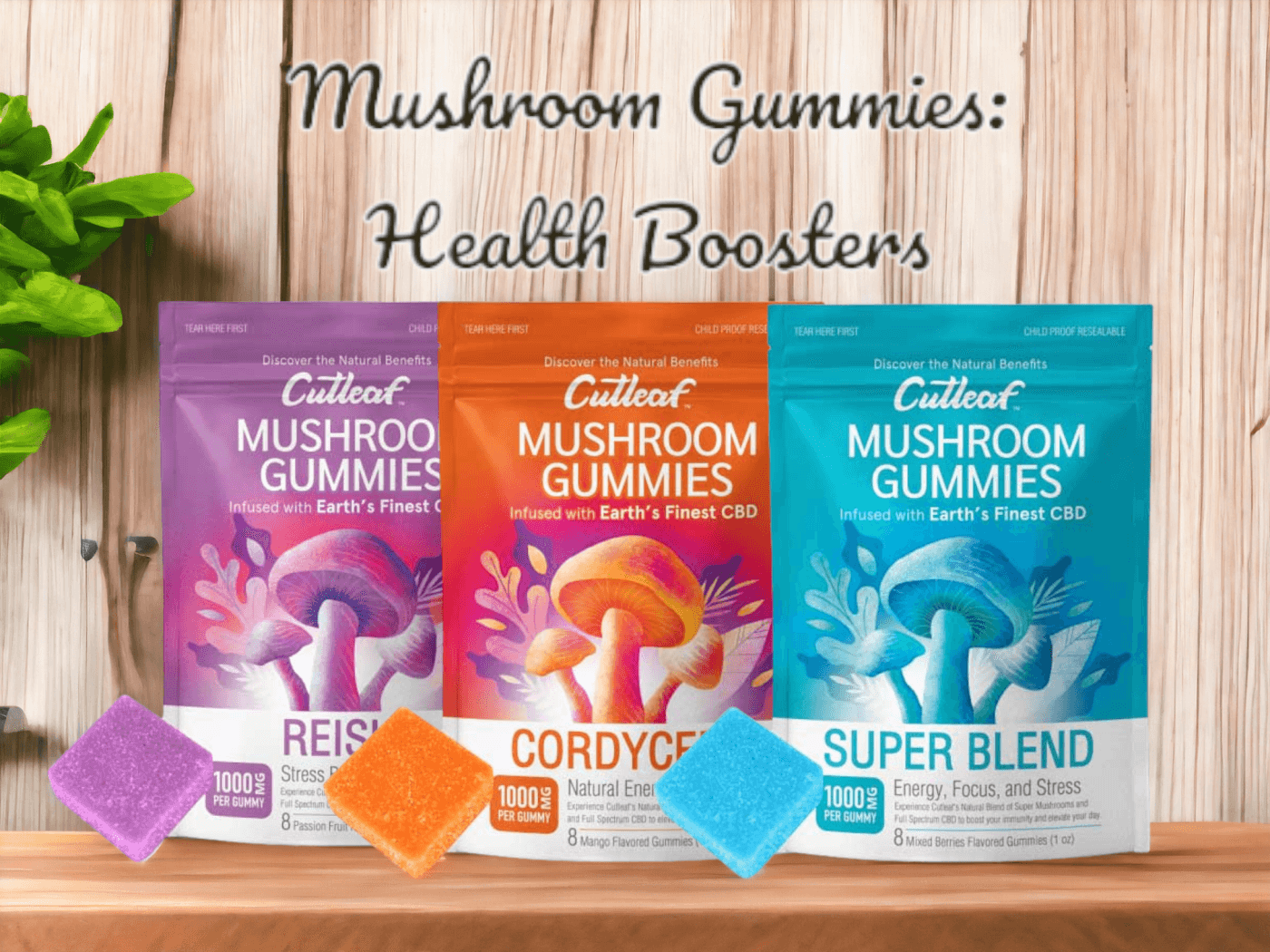 Mushroom Gummies: The Bioavailable Powerhouse for Your Daily Health