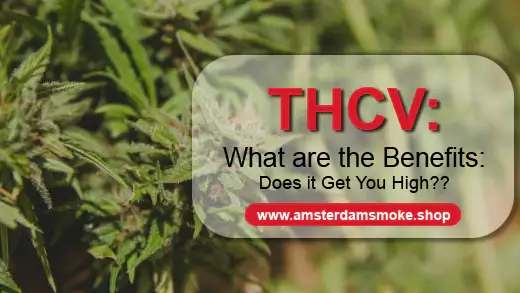 THCV Benefits: Everything You Need To Know