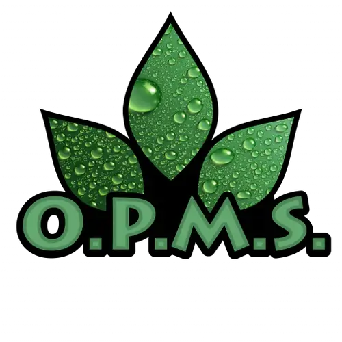 Your Guide To OPMS Kratom Capsules