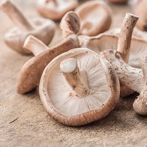 Shiitake Mushrooms Benefits - How Do They Heal Your Body?