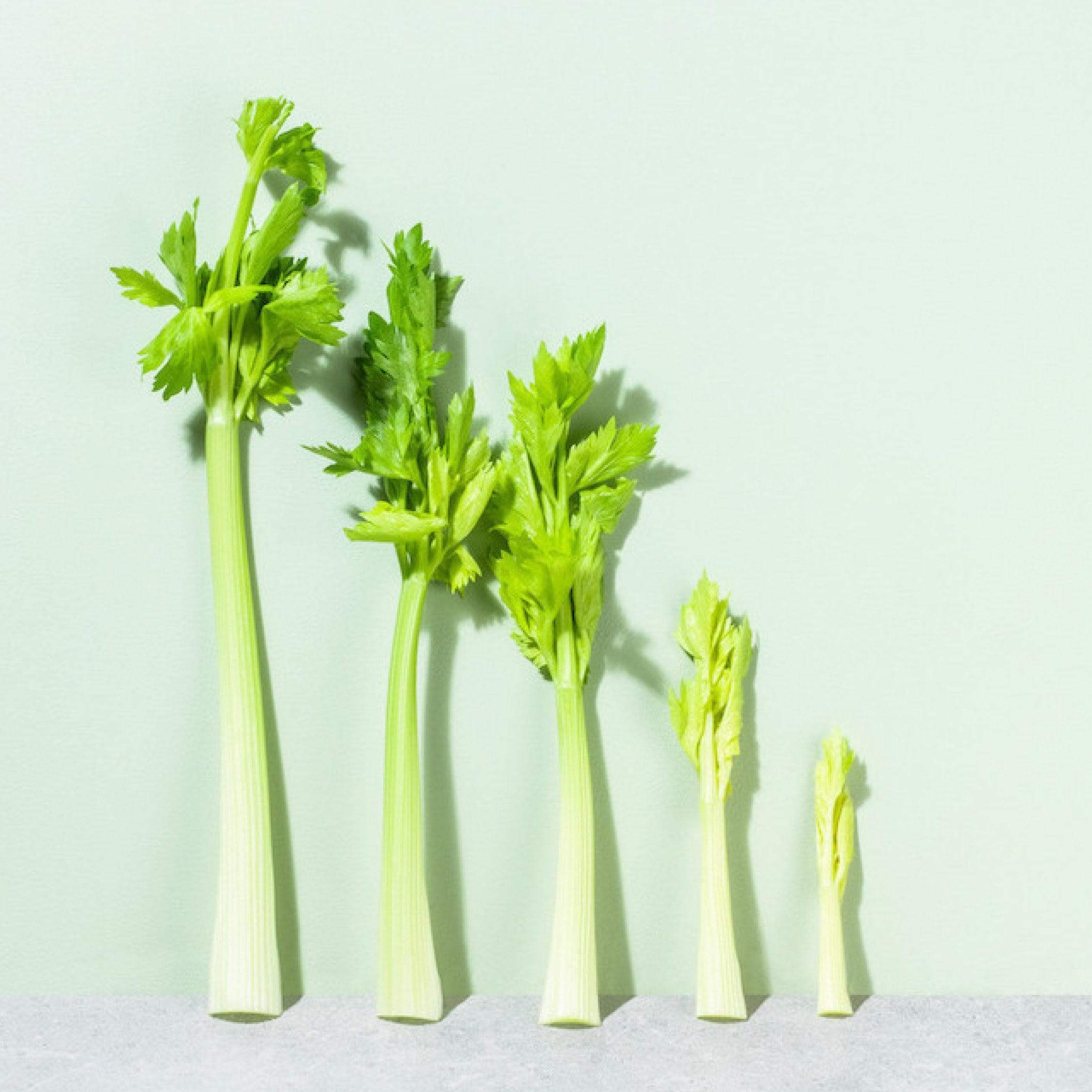 Celery Juice Benefits