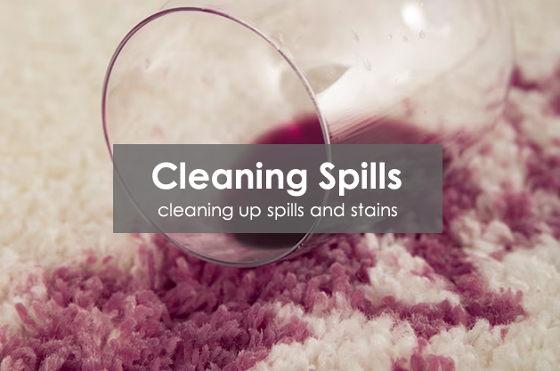 Cleaning Carpet Spills And Stains