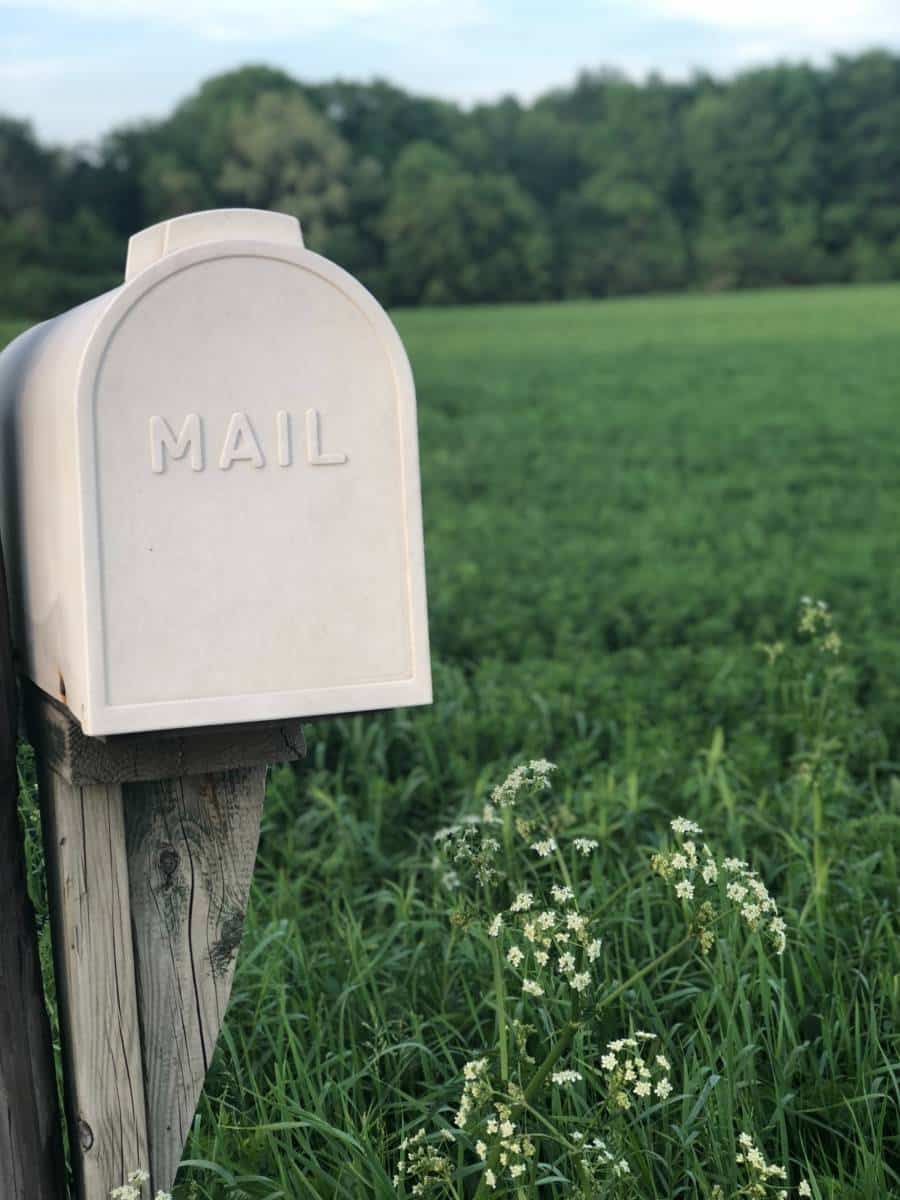 You've Got Mail!  A Peek at Public GCP Queries to FDA