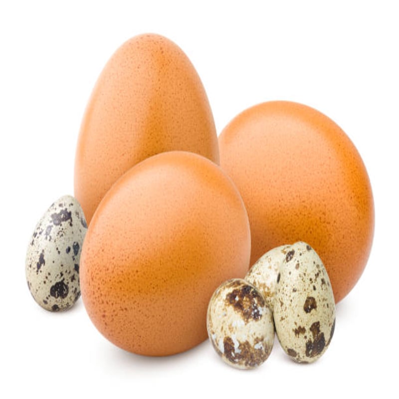 Chicken Eggs vs Quail Eggs