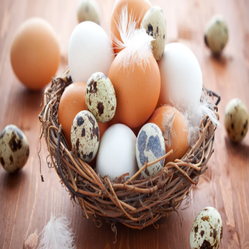 Chicken Eggs vs Quail Eggs
