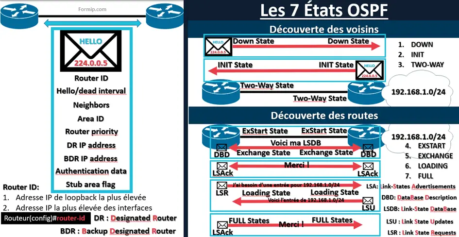 Paquet Hello : Essentiel en OSPF