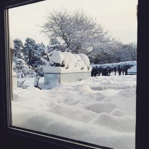 Winter has arrived in Herefordshire