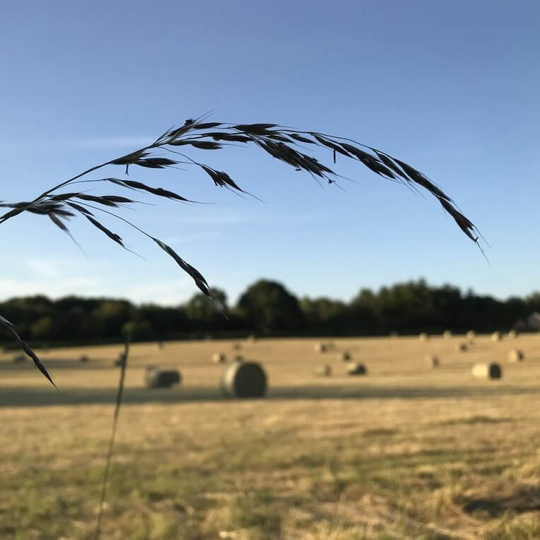 Summer in the Herefordshire countryside for a contemporary jewellery maker