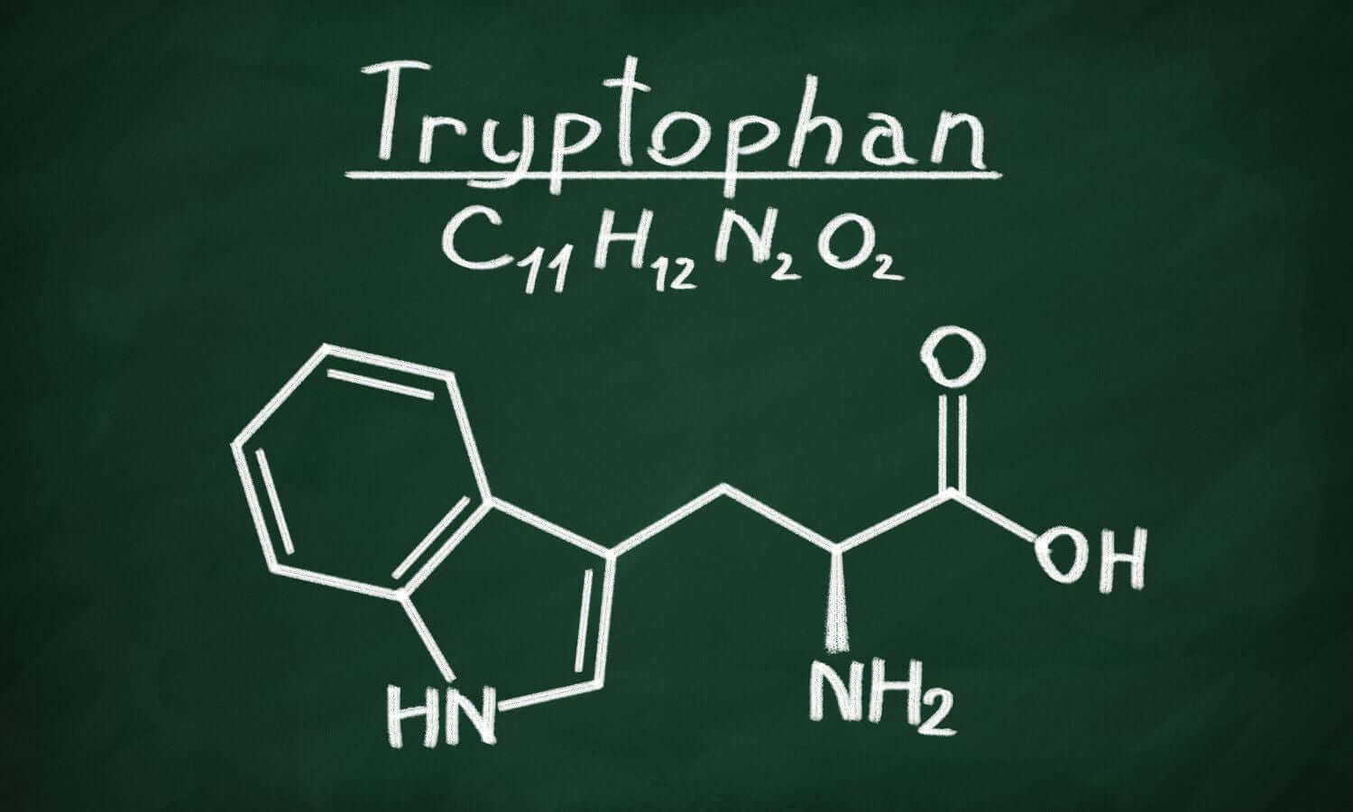 Die Bedeutung von Tryptophan: Die unverzichtbare Aminosäure