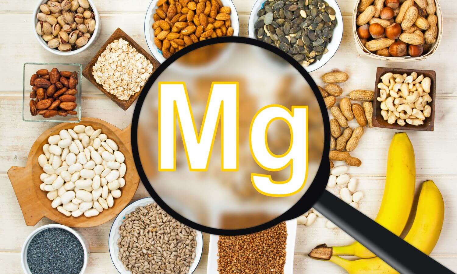 Welches Magnesium ist das beste?