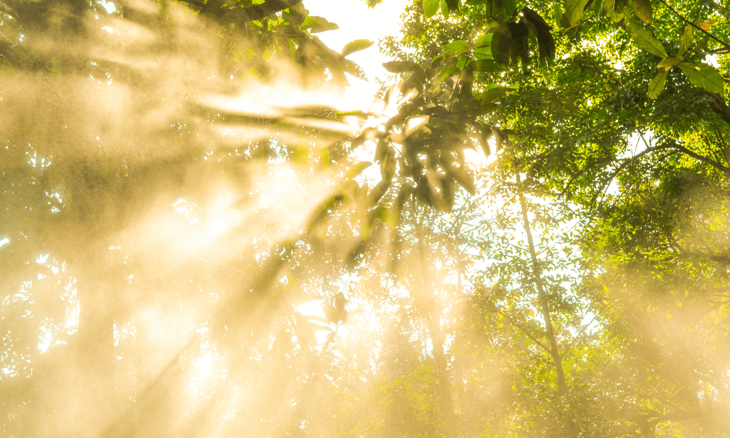 UVB Strahlen und Vitamin D