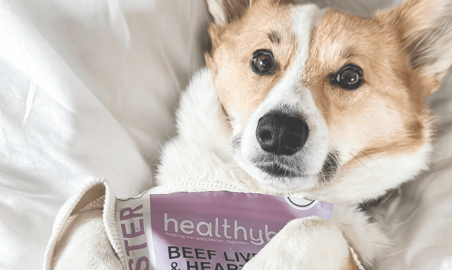 Undeniably Cute Things About Corgis