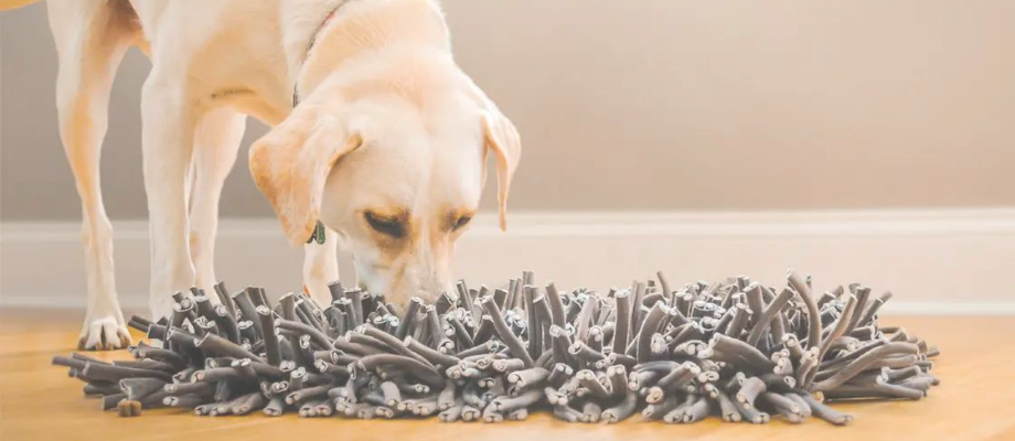 What is a snuffle mat & how do you use one?