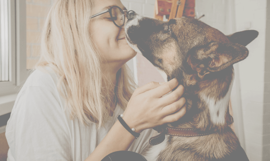 Dogs and Mental Health Benefits: 5 Ways Your Pet Can Help