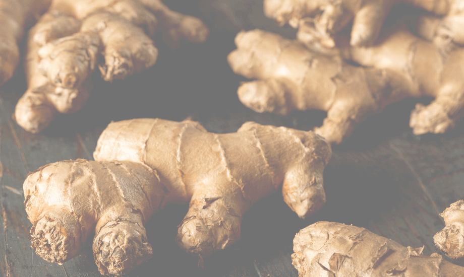 Ginger Benefits for Dogs: Superfood for Your Pet's Health