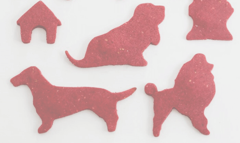 Festive Christmas Dog Treats: Holiday Recipes for Your Pup