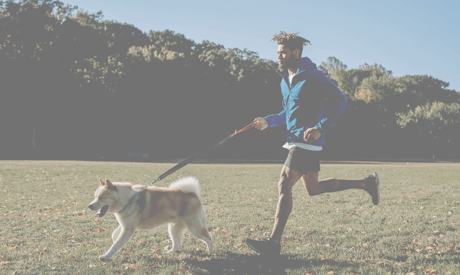 Get Active with Your Pup During Active Dog Month!