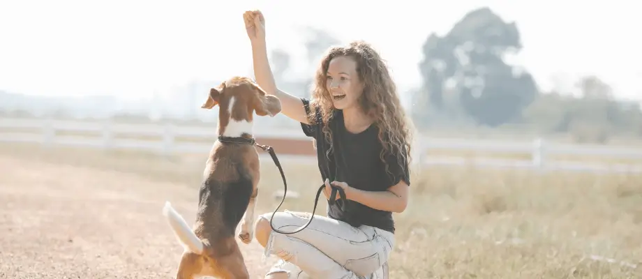 Healthybud mini training Treats for Busy Pet Parents