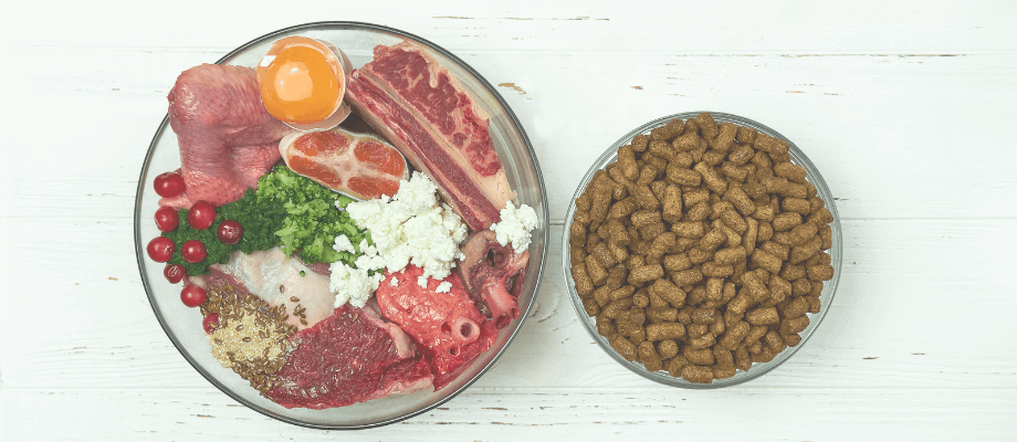 Pet Wellness 101: How To Boost Your Dog's Kibble