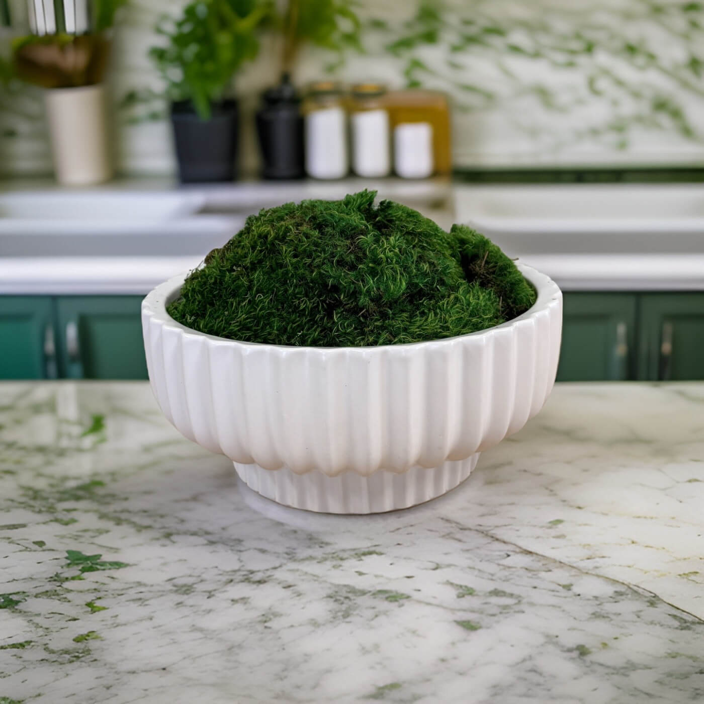 How to Make Your Own DIY Moss Bowl